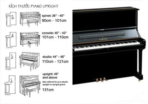 So Sánh Kích Thước Đàn Piano Cơ và Điện